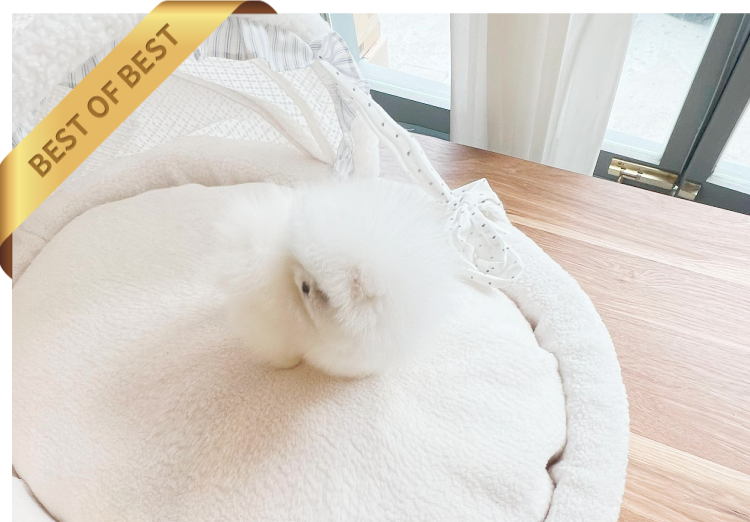 화폼톰