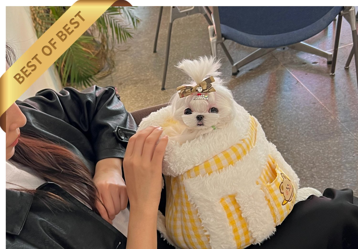 MALTESE (RIO) - Image 2